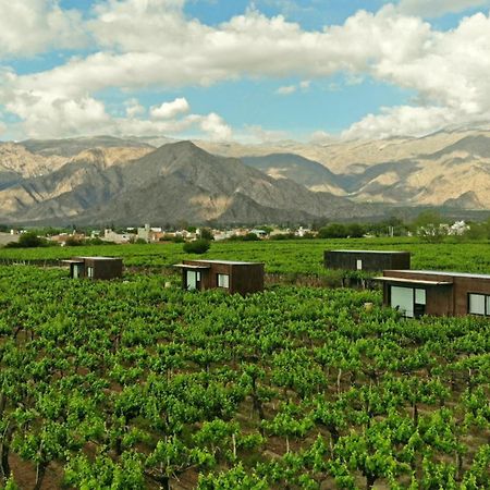 El Porvenir Wine Lodge カファヤテ エクステリア 写真