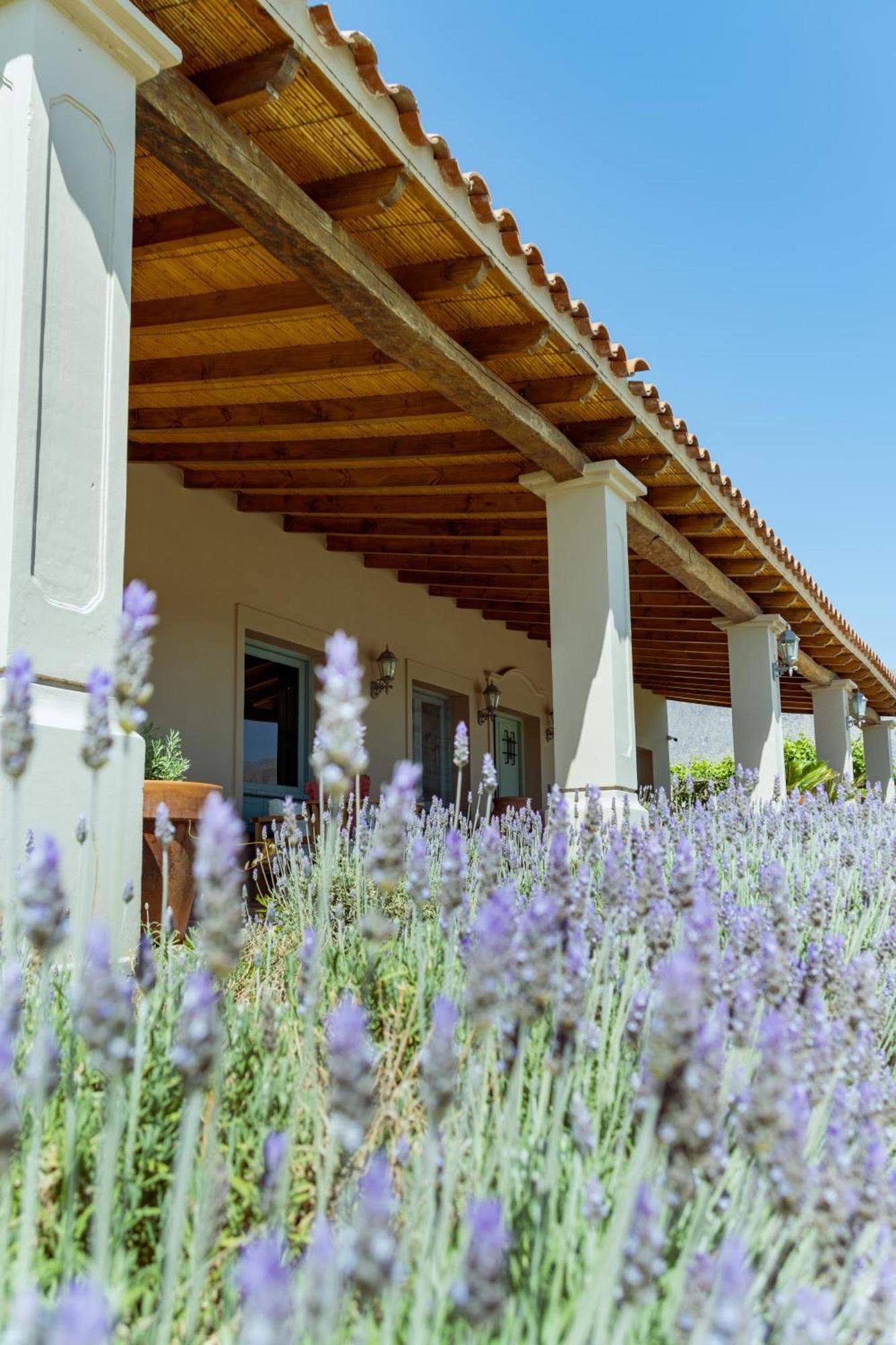 El Porvenir Wine Lodge カファヤテ エクステリア 写真