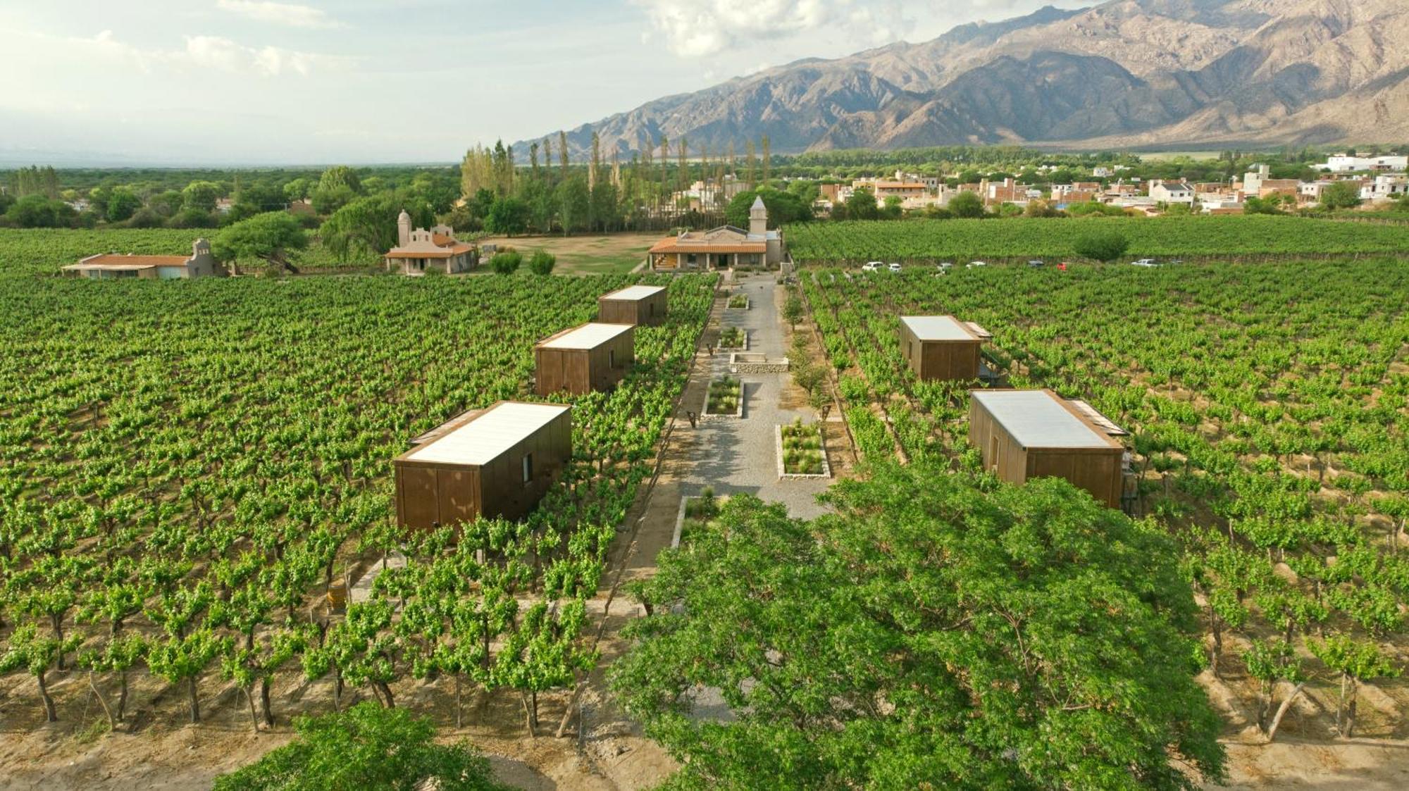 El Porvenir Wine Lodge カファヤテ エクステリア 写真