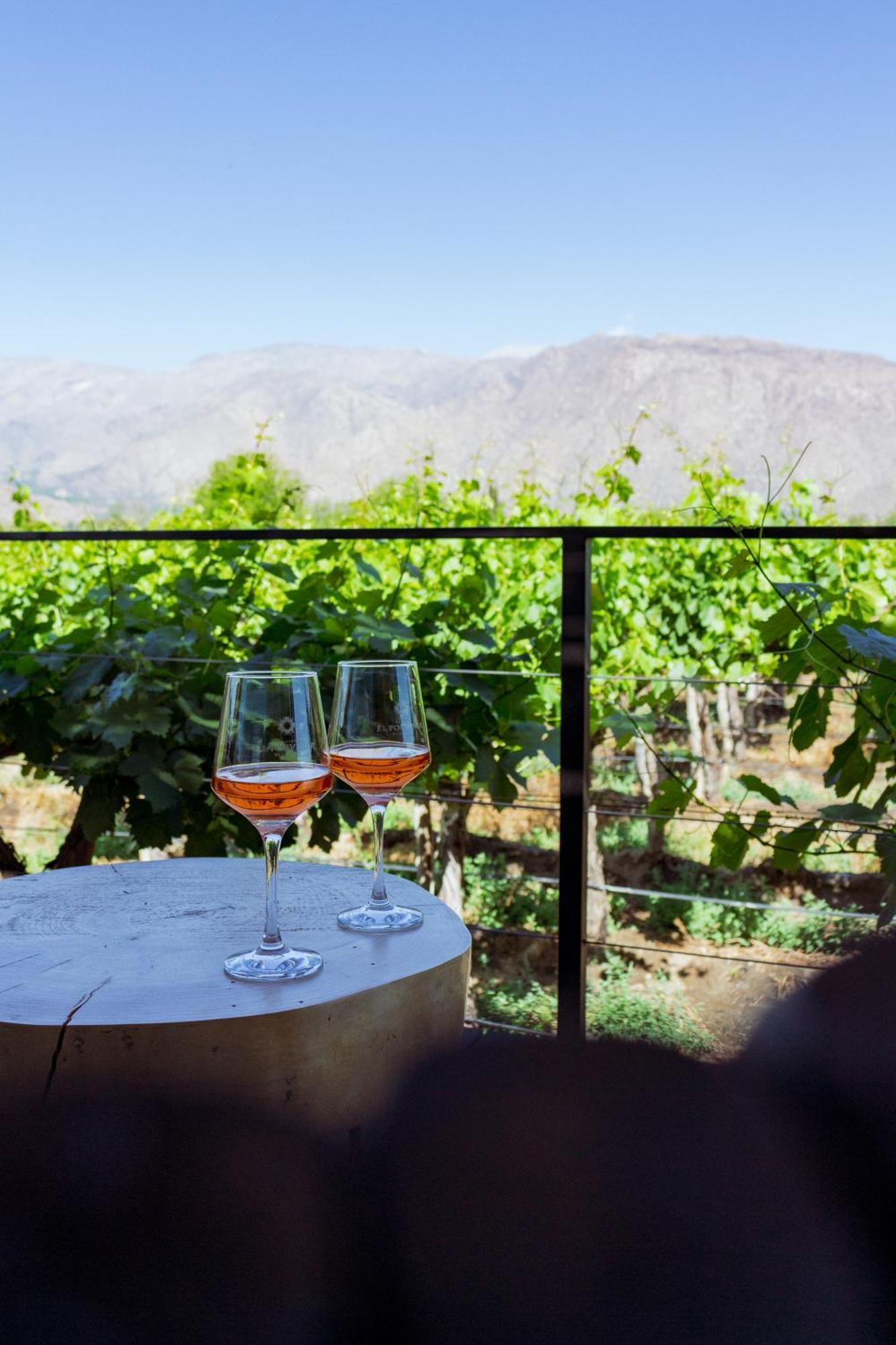 El Porvenir Wine Lodge カファヤテ エクステリア 写真