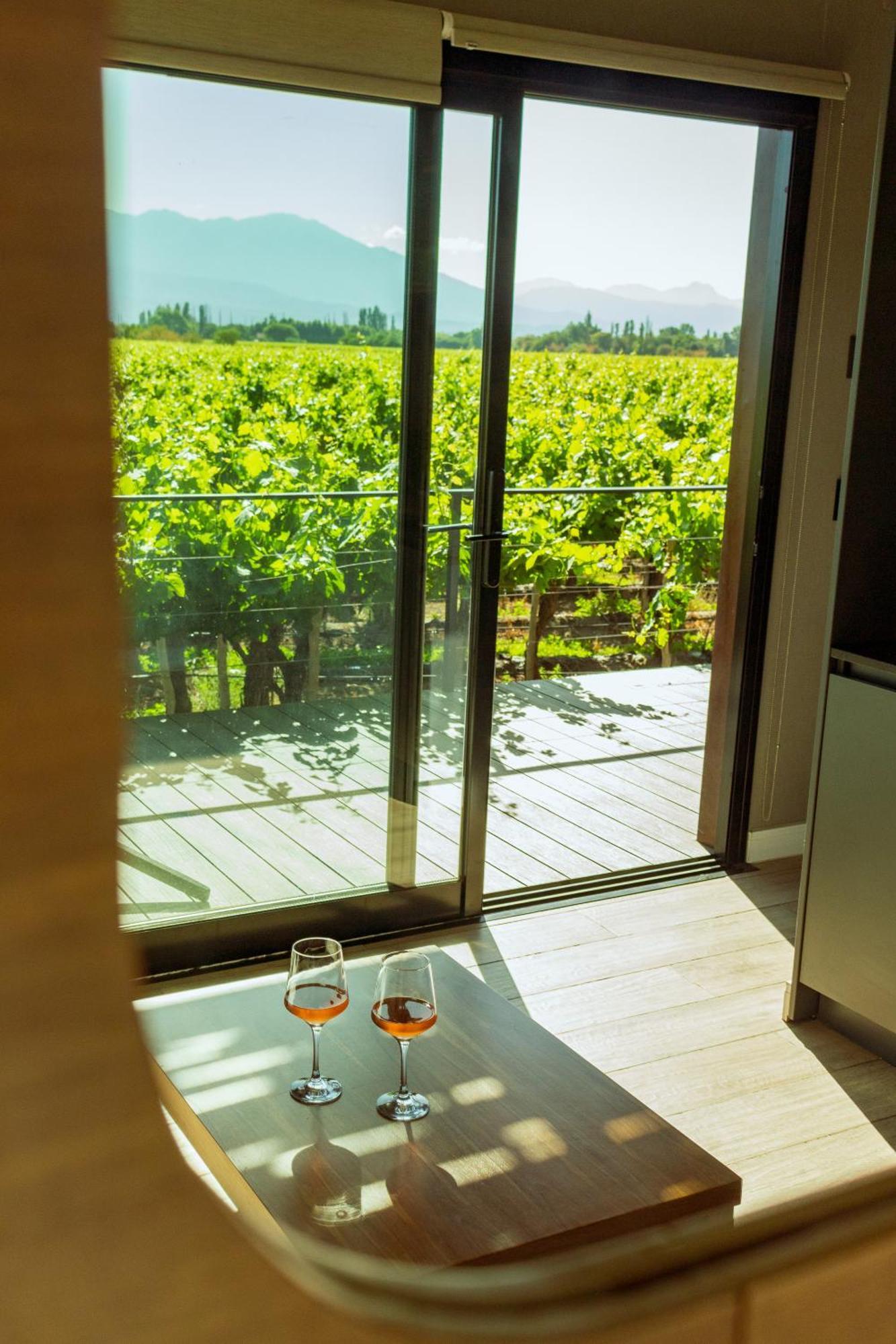 El Porvenir Wine Lodge カファヤテ エクステリア 写真