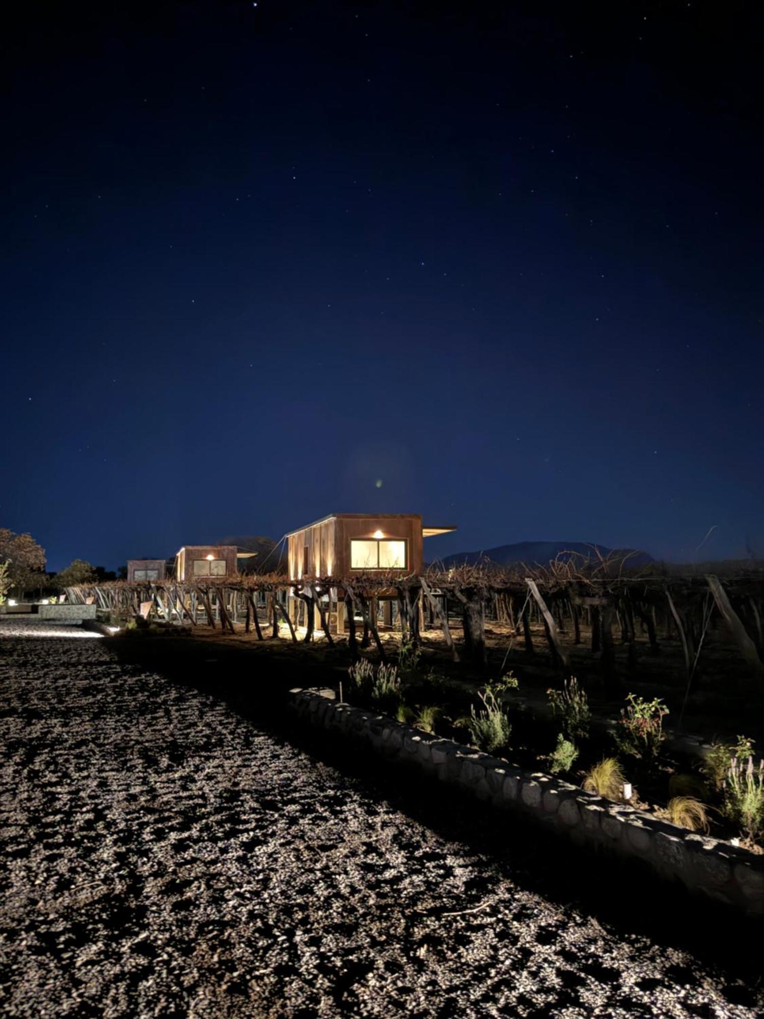 El Porvenir Wine Lodge カファヤテ エクステリア 写真