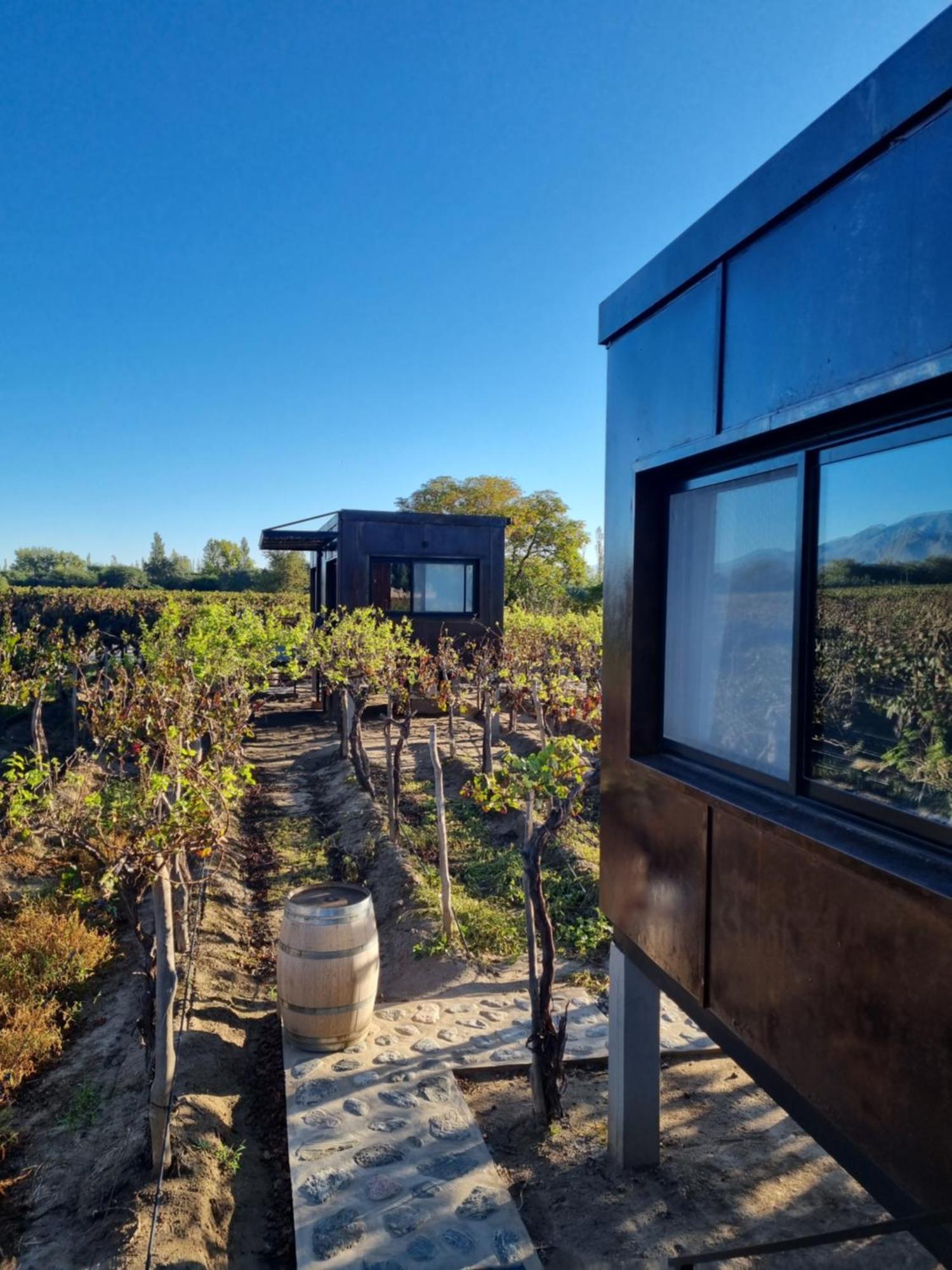 El Porvenir Wine Lodge カファヤテ エクステリア 写真
