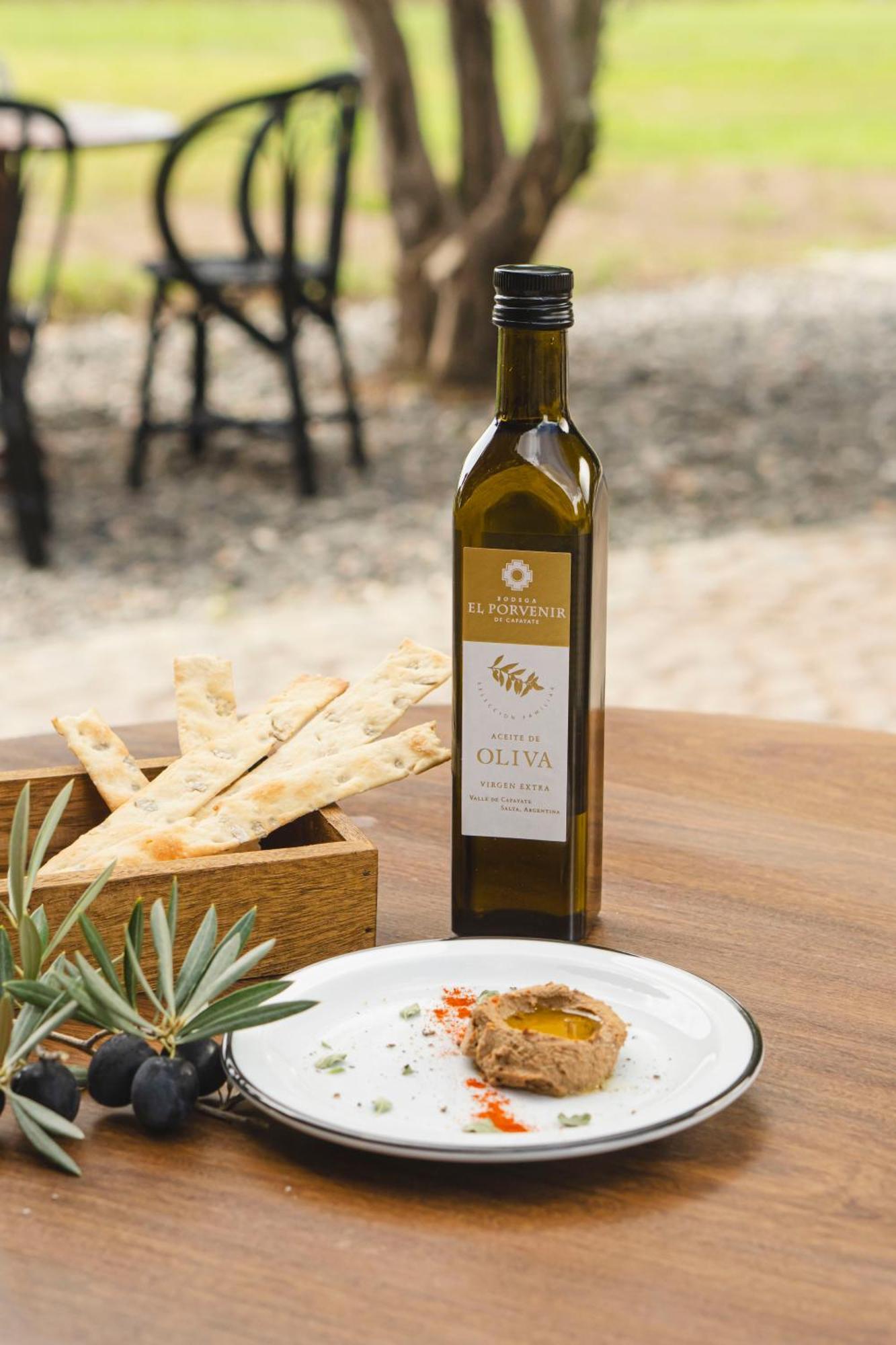 El Porvenir Wine Lodge カファヤテ エクステリア 写真