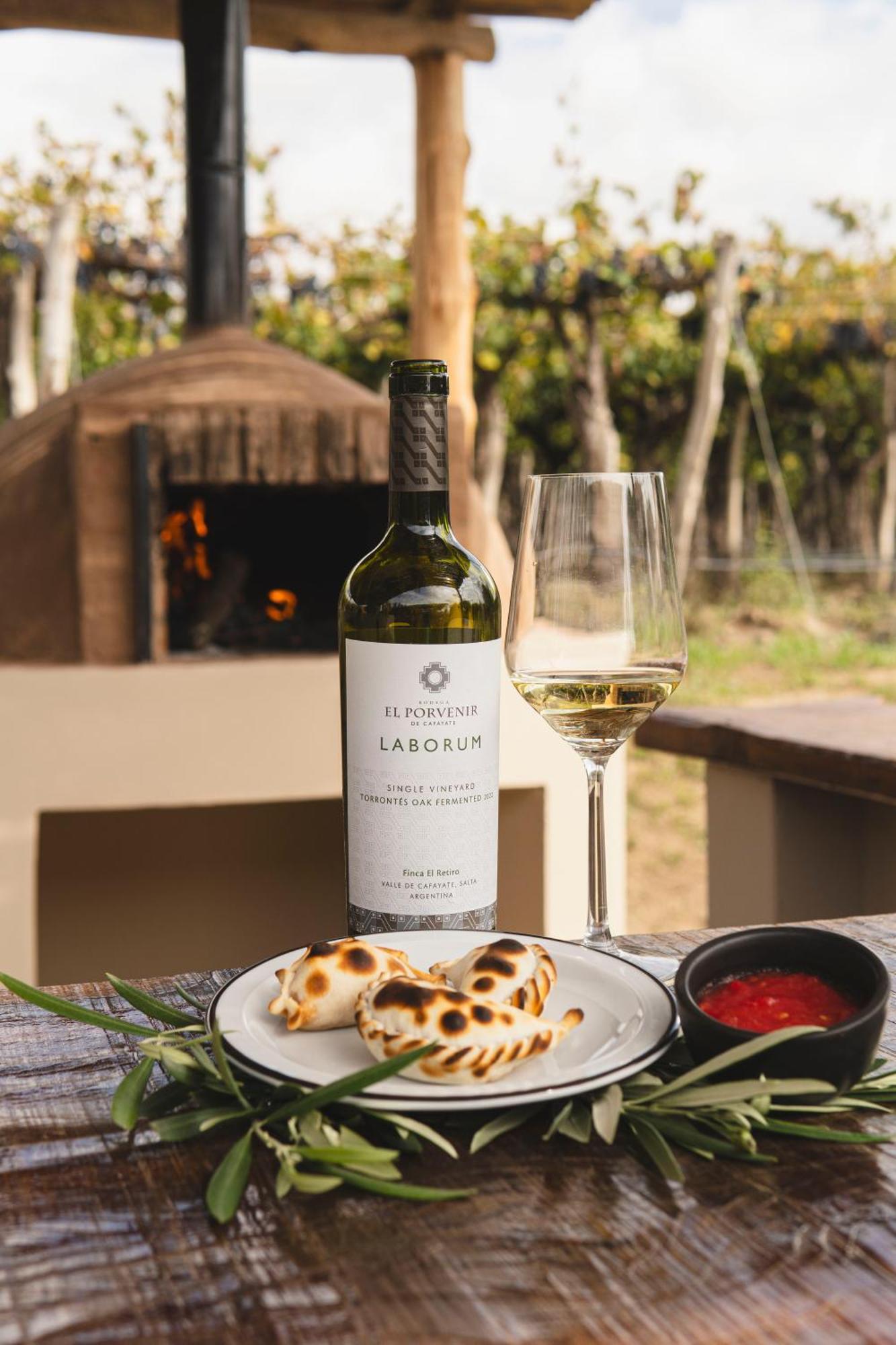 El Porvenir Wine Lodge カファヤテ エクステリア 写真